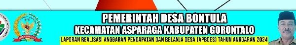 Realisasi APBDes Tahun Anggaran 2024