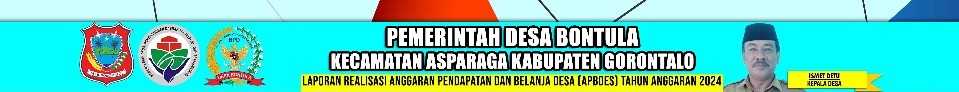 Realisasi APBDes Tahun Anggaran 2024