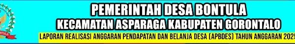 LAPORAN REALISASI TAHUN ANGGARAN 2025