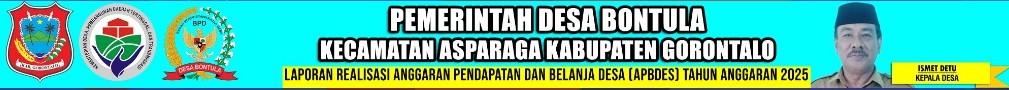 LAPORAN REALISASI TAHUN ANGGARAN 2025